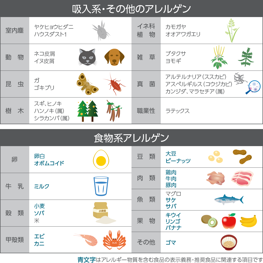 39種類を一度に調べられるアレルギー検査です